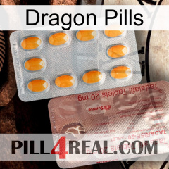 Dragon Pills new13